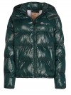 Champion jacket dark green
