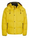 Calvin Klein jacket yellow