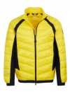 EA7 Emporio Armani jacket yellow