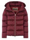 Herno jacket burgundy