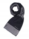Emporio Armani scarf black-silver