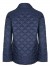 Burberry jacket navy