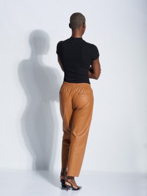 Pinko pants brown