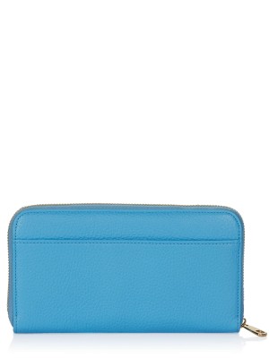 Dolce & Gabbana wallet light blue